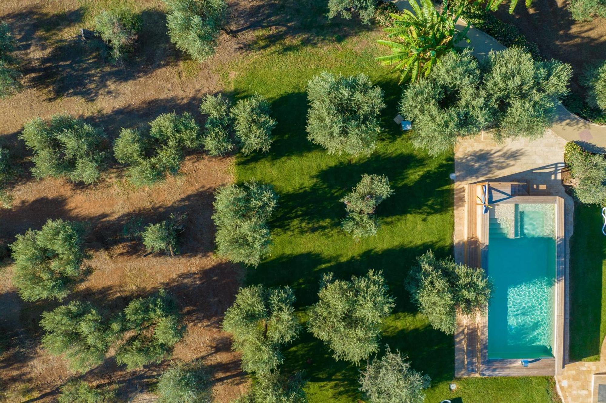 Dimora Tenuta Solentino Torre San Giovanni Ugento Exteriér fotografie