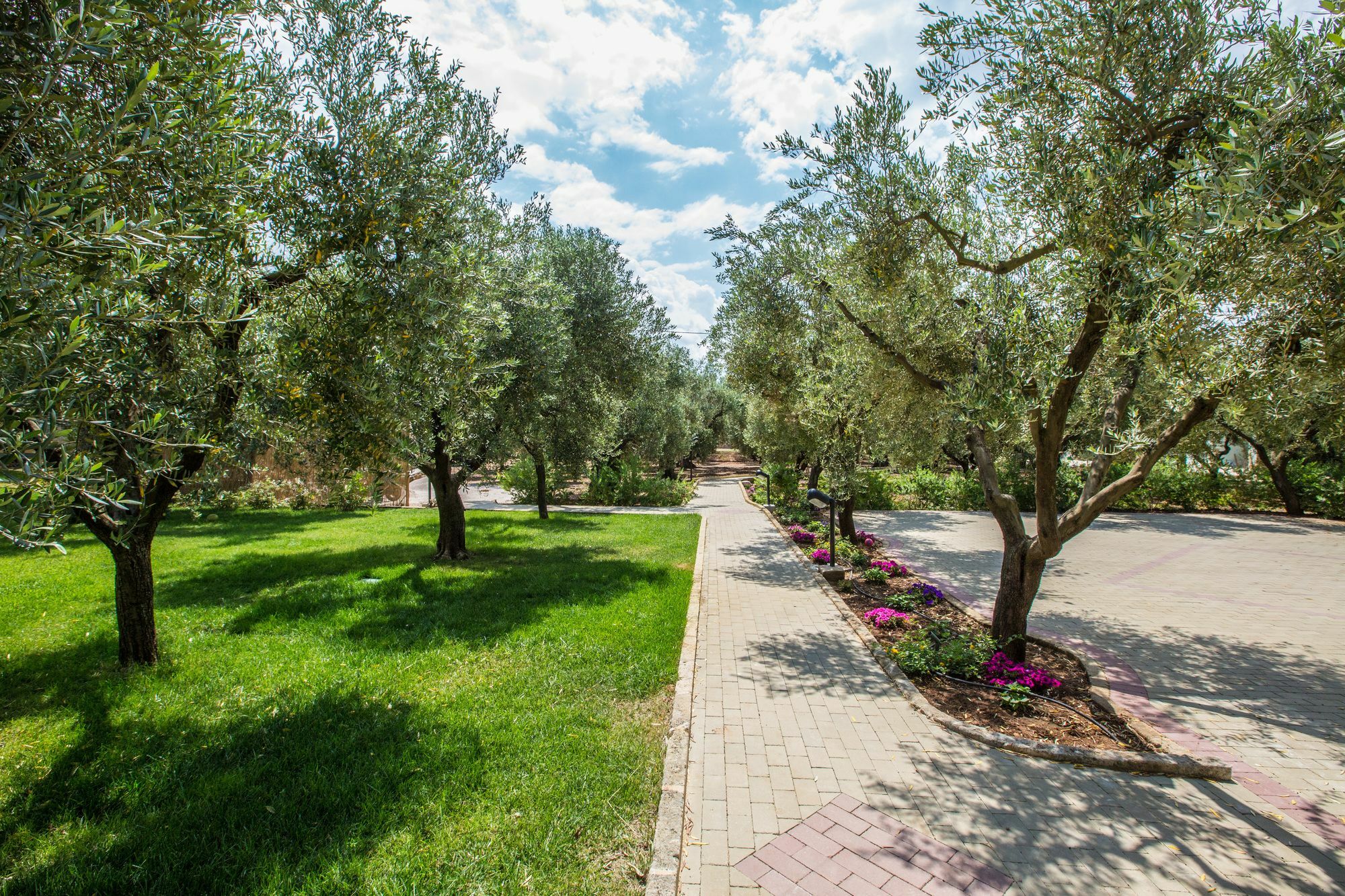Dimora Tenuta Solentino Torre San Giovanni Ugento Exteriér fotografie